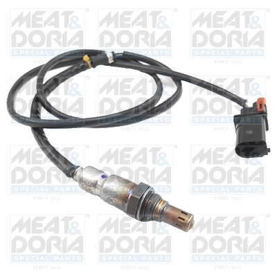 Oxygen Sensor